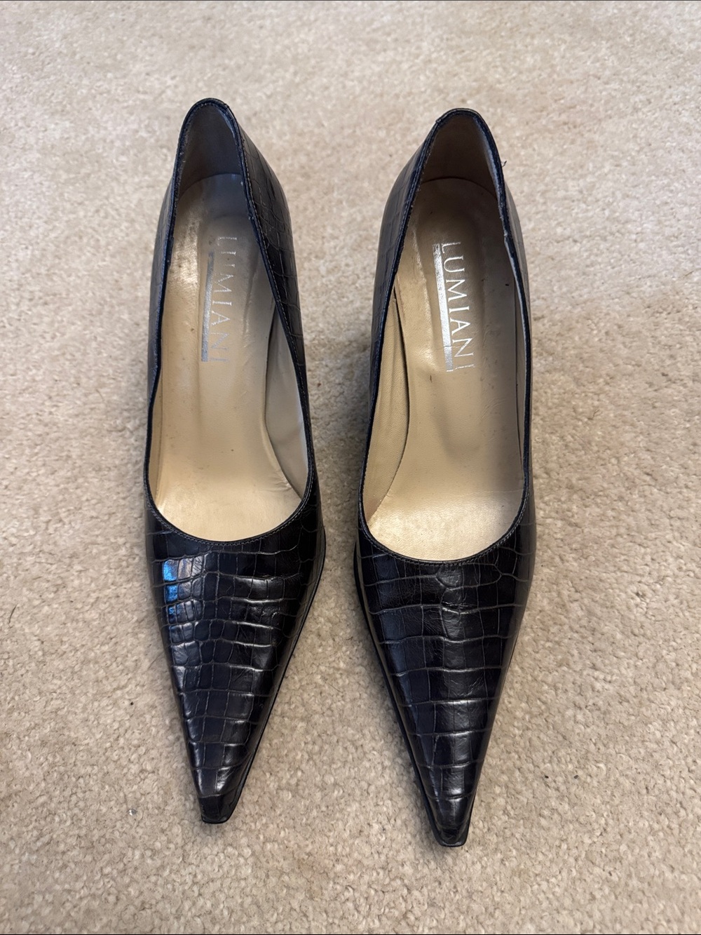 Lumiani Black Croc-Embossed Pointed Toe Heels